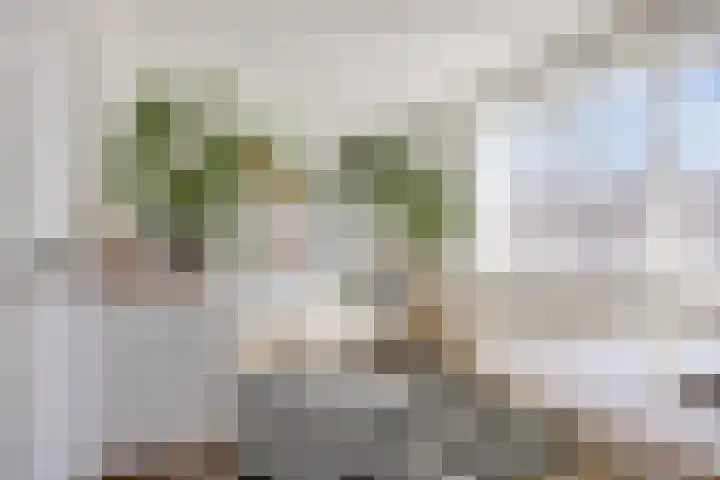 Hooghout 3 Breda thumbnail 25