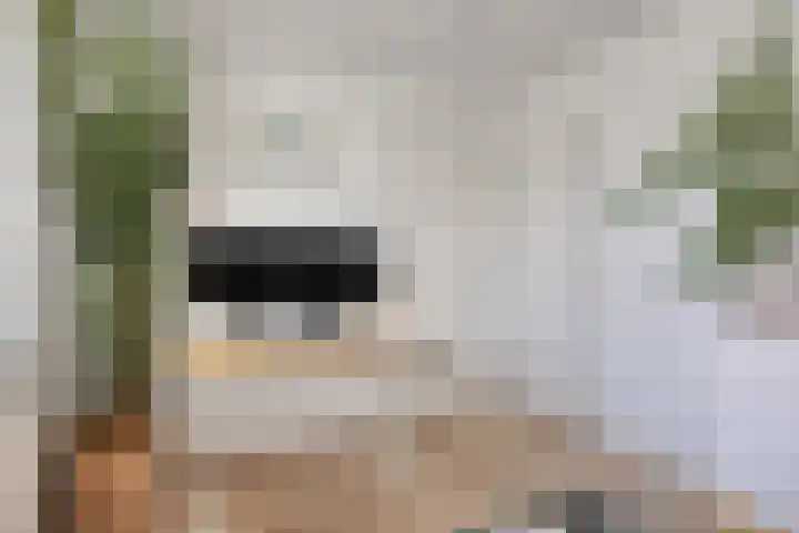 Hooghout 3 Breda thumbnail 26