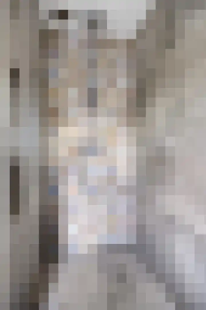 Hooghout 3 Breda thumbnail 31