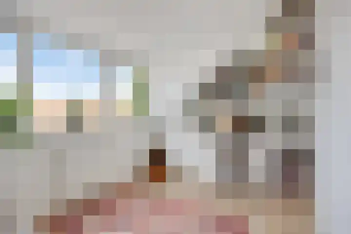 Hooghout 3 Breda thumbnail 35