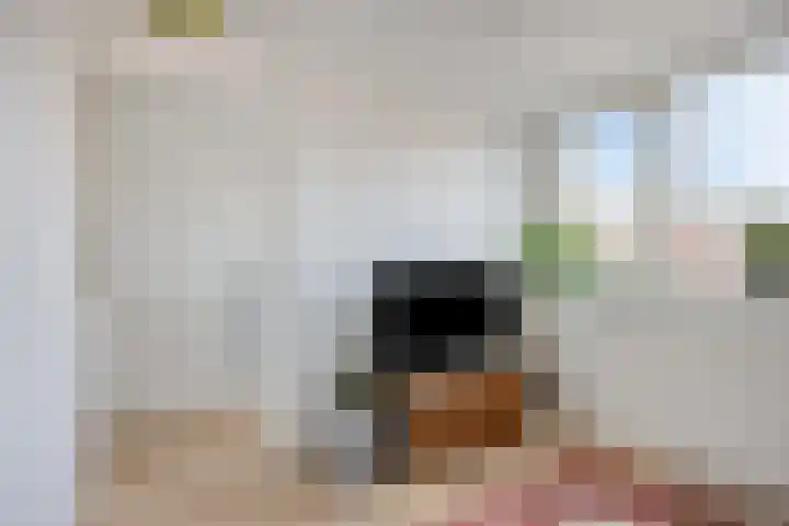 Hooghout 3 Breda thumbnail 36