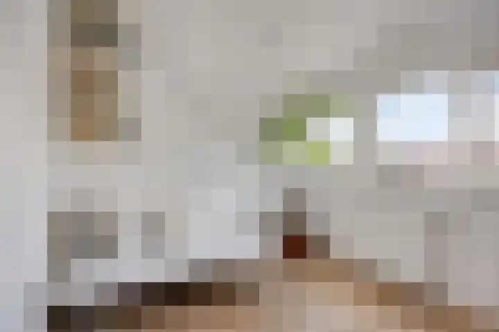 Hooghout 3 Breda thumbnail 37