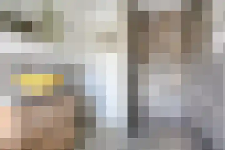 Hooghout 3 Breda thumbnail 4