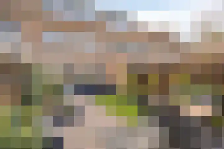 Hooghout 3 Breda thumbnail 42