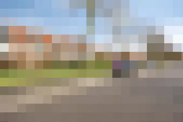 Hooghout 3 Breda thumbnail 46