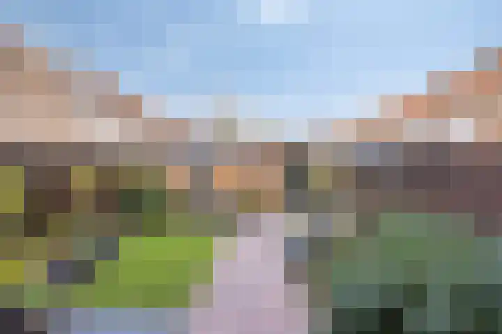 Hooghout 3 Breda thumbnail 5