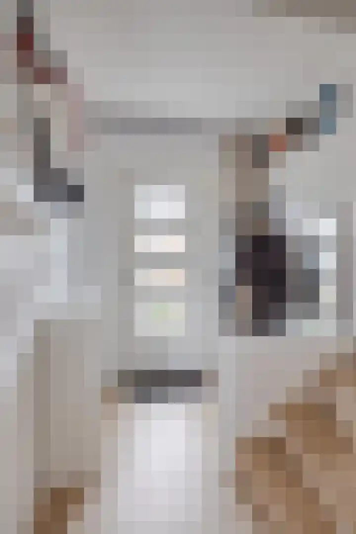 Hooghout 3 Breda thumbnail 7