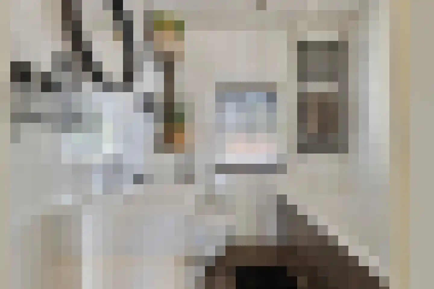 Hooghout 36 Breda thumbnail 23