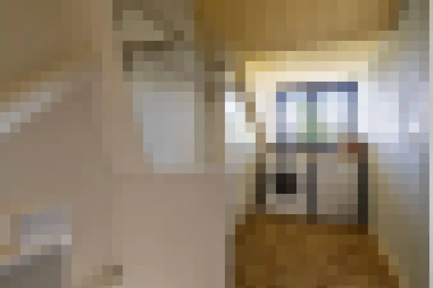 Hooghout 36 Breda thumbnail 32