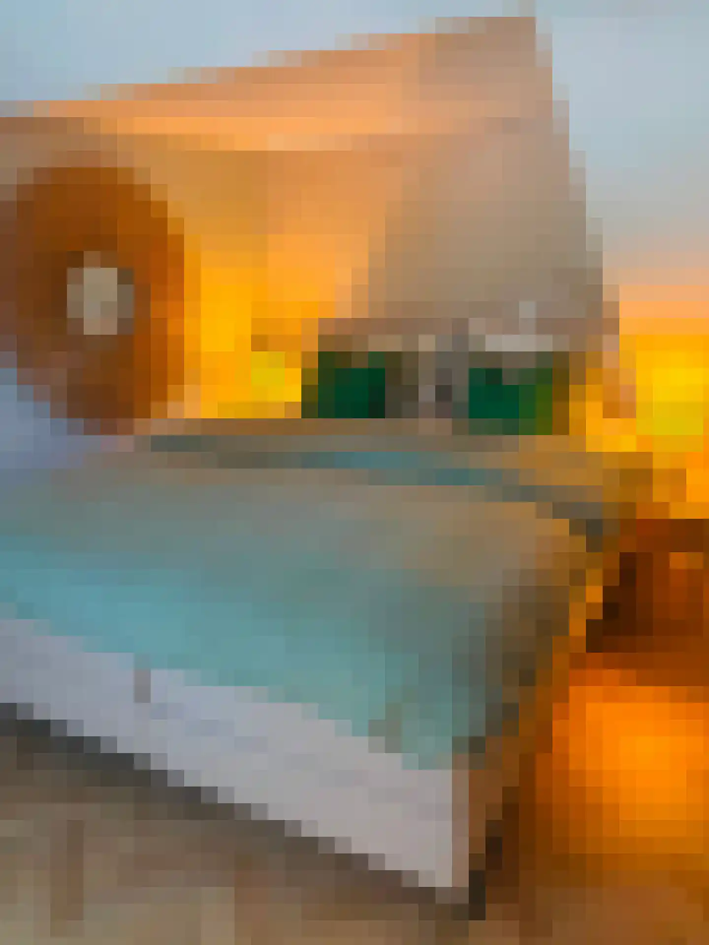 Hooghout 36 Breda thumbnail 34