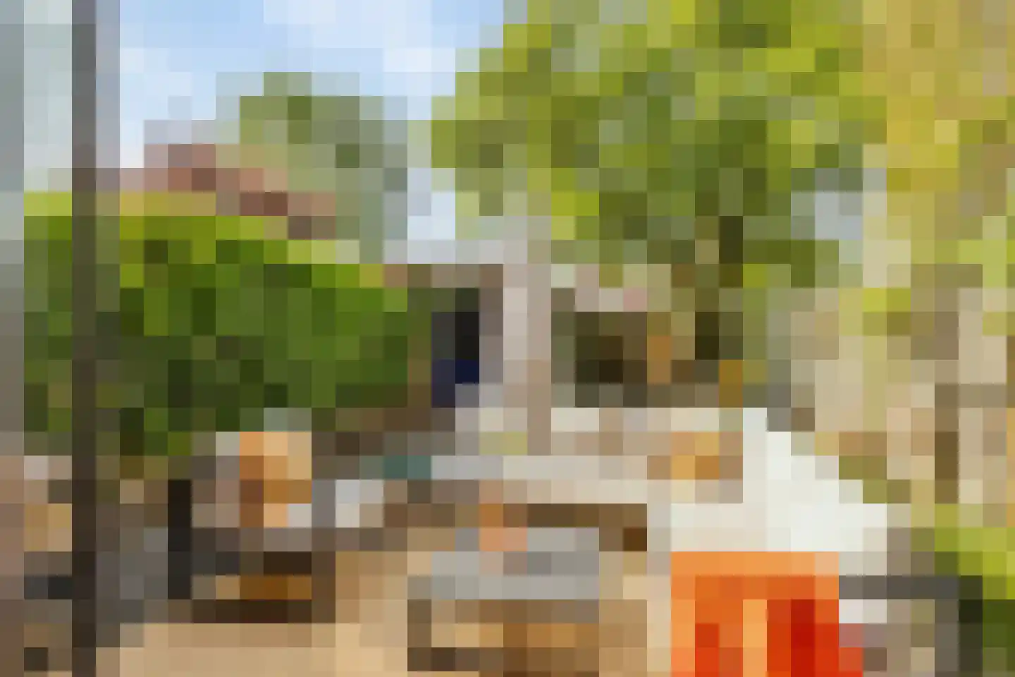 Hooghout 36 Breda thumbnail 38
