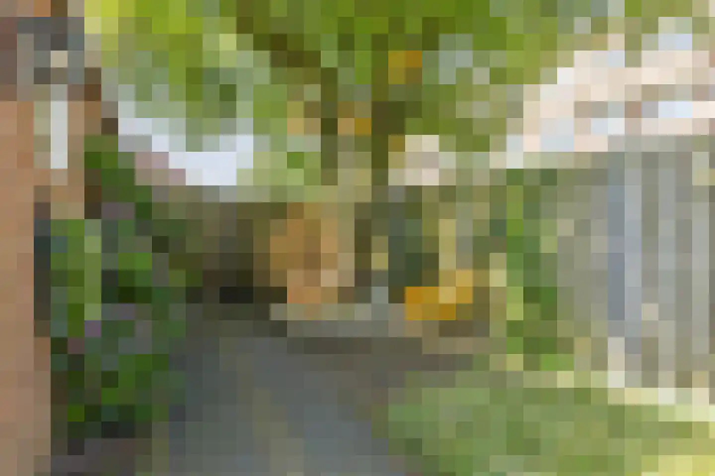 Hooghout 36 Breda thumbnail 39