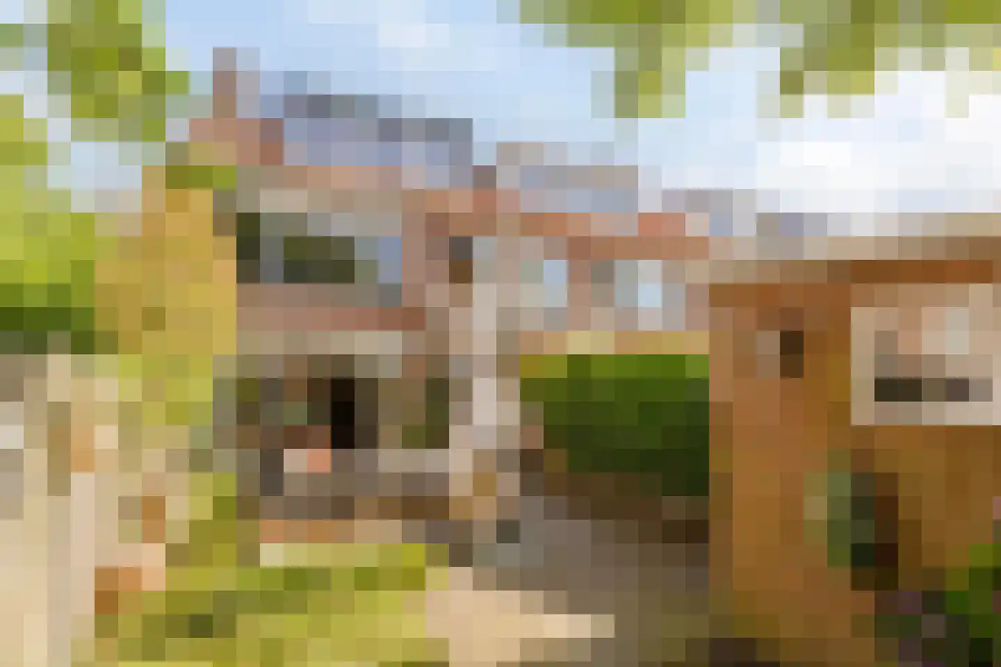 Hooghout 36 Breda thumbnail 40