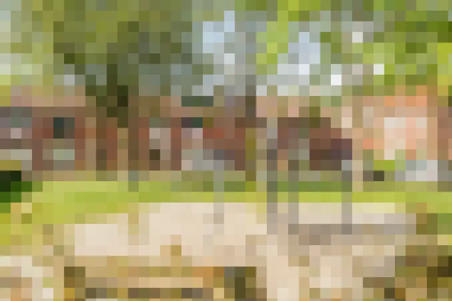 Hooghout 36 Breda thumbnail 42