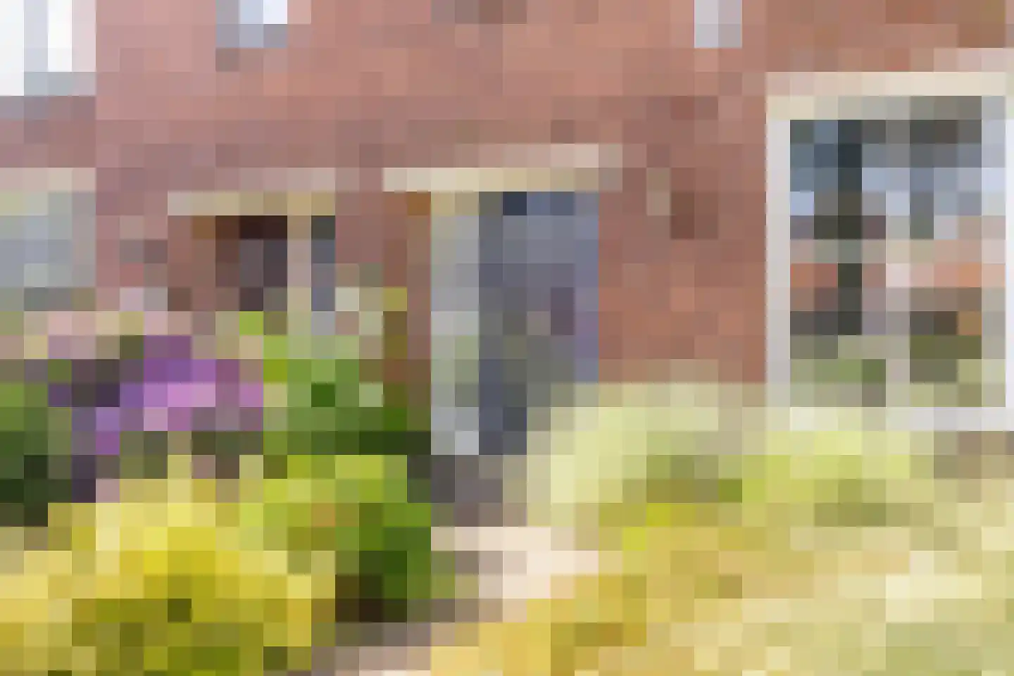 Hooghout 36 Breda thumbnail 44