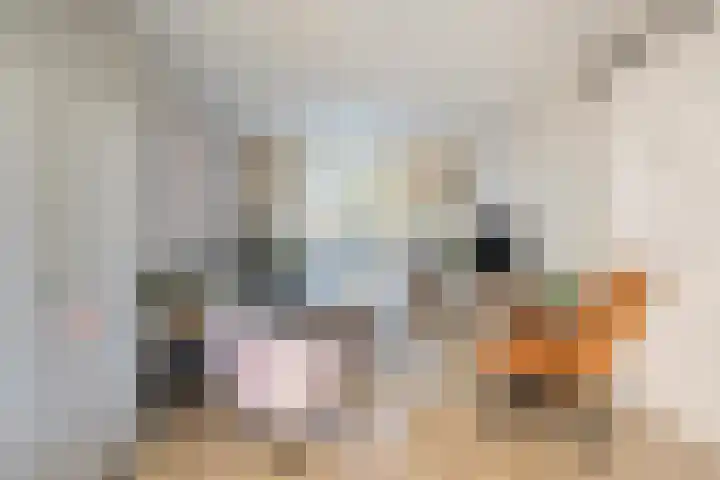 Hooghout 44 Breda thumbnail 12