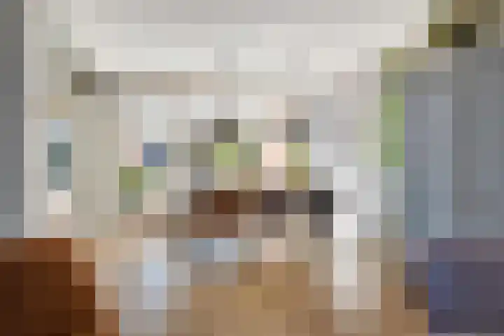 Hooghout 44 Breda thumbnail 14