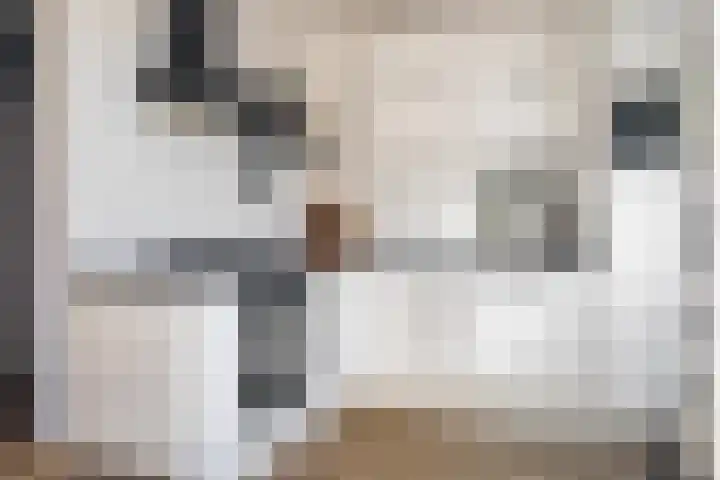 Hooghout 44 Breda thumbnail 19