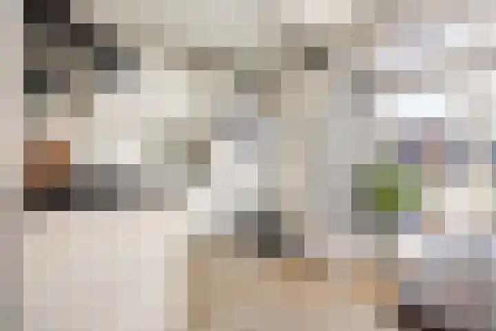 Hooghout 44 Breda thumbnail 20