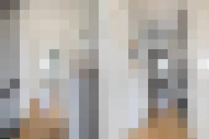 Hooghout 44 Breda thumbnail 22