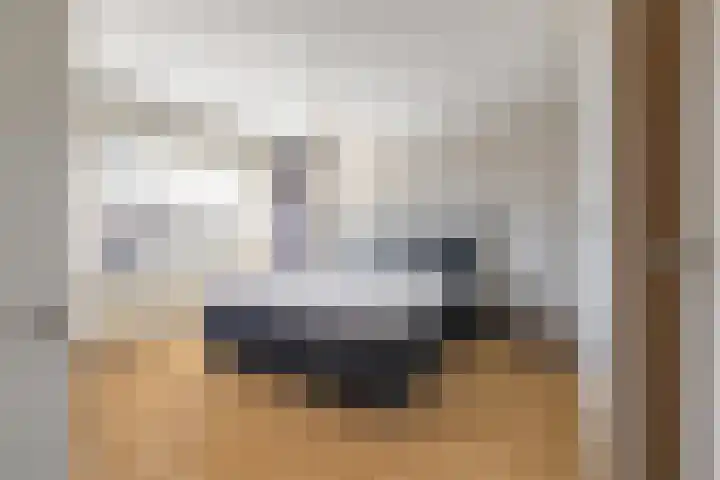 Hooghout 44 Breda thumbnail 27