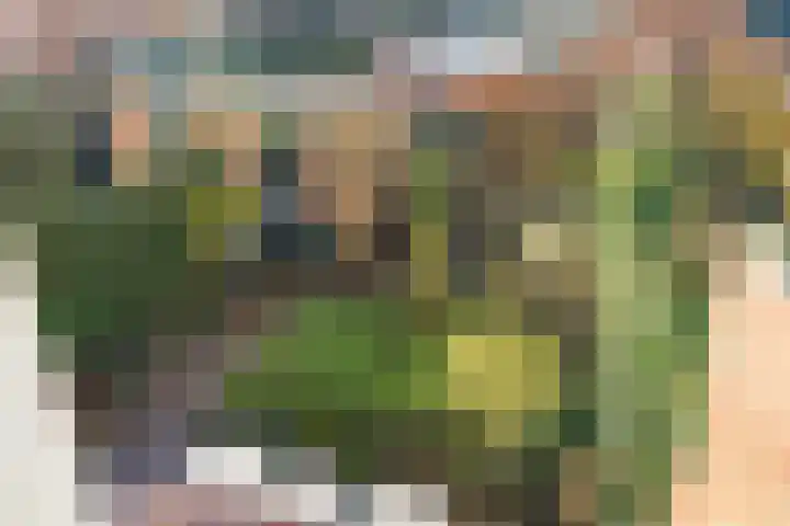 Hooghout 44 Breda thumbnail 28