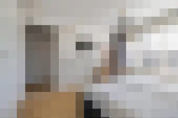 Hooghout 44 Breda thumbnail 29