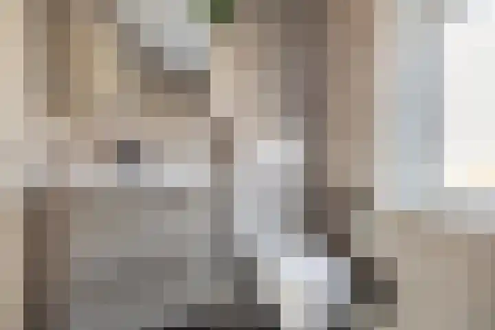Hooghout 44 Breda thumbnail 33