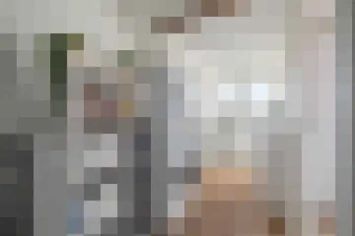 Hooghout 44 Breda thumbnail 35