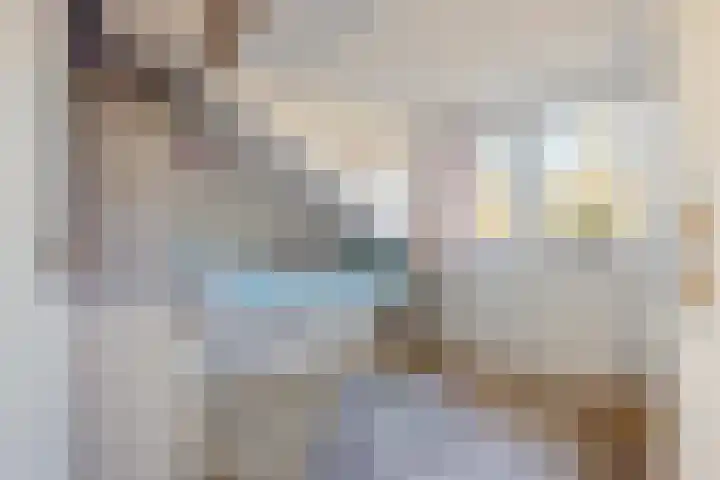 Hooghout 44 Breda thumbnail 37