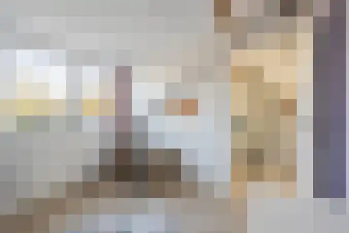 Hooghout 44 Breda thumbnail 38