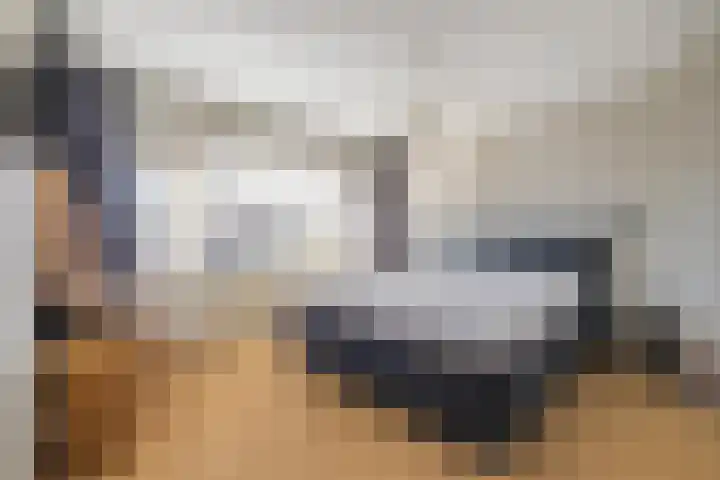 Hooghout 44 Breda thumbnail 4