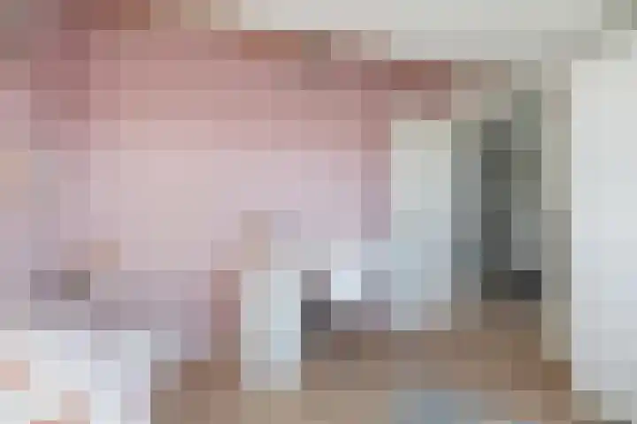 Hooghout 44 Breda thumbnail 42