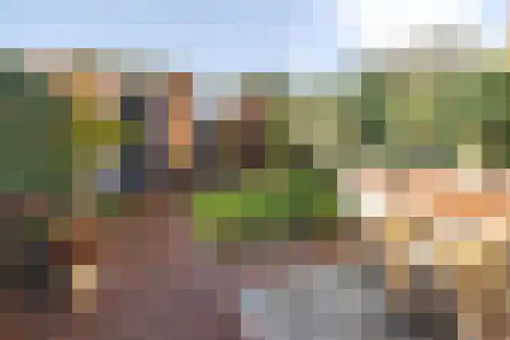 Hooghout 44 Breda thumbnail 43