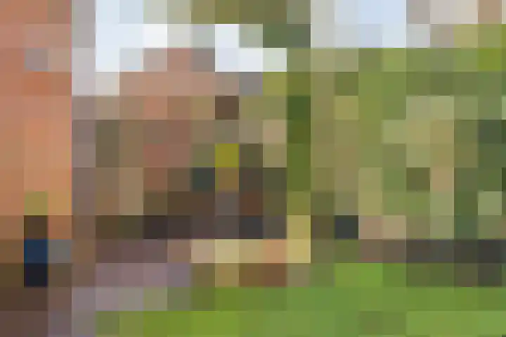 Hooghout 44 Breda thumbnail 44