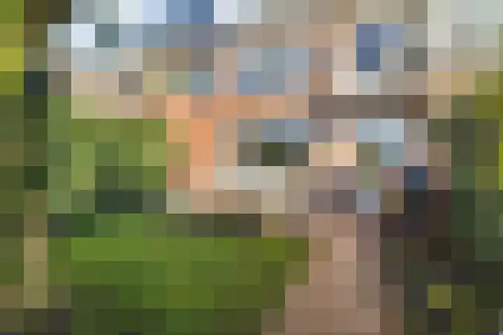 Hooghout 44 Breda thumbnail 45