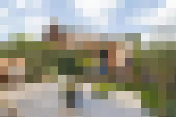 Hooghout 44 Breda thumbnail 47
