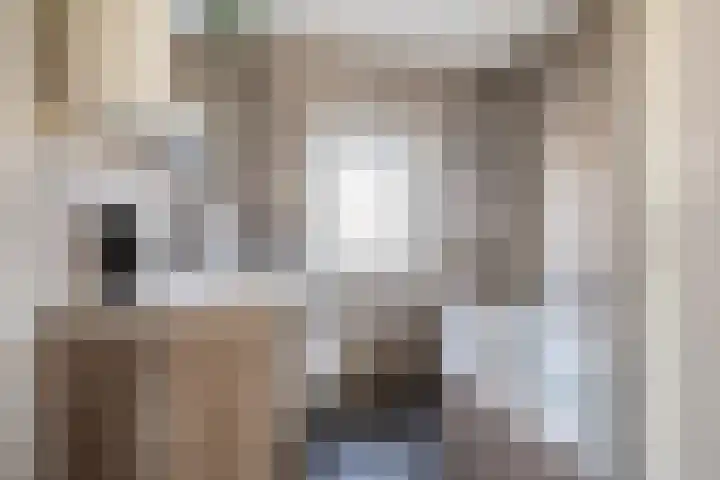 Hooghout 44 Breda thumbnail 5