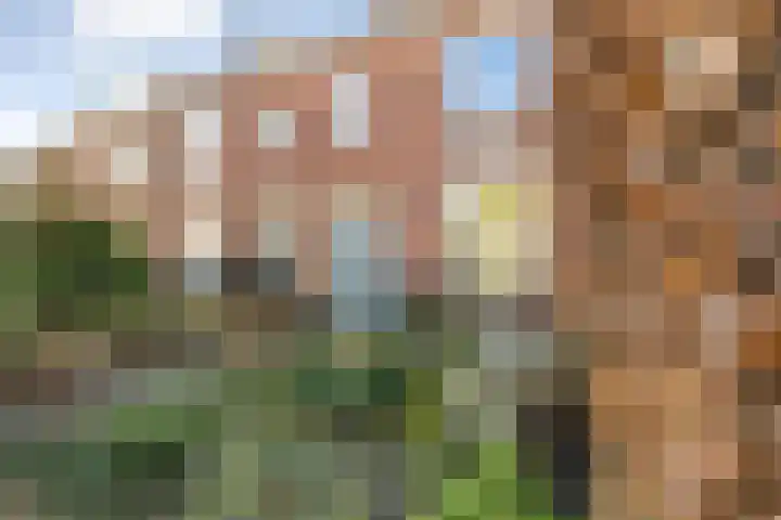 Hooghout 44 Breda thumbnail 7