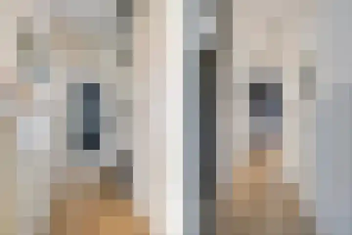 Hooghout 44 Breda thumbnail 9
