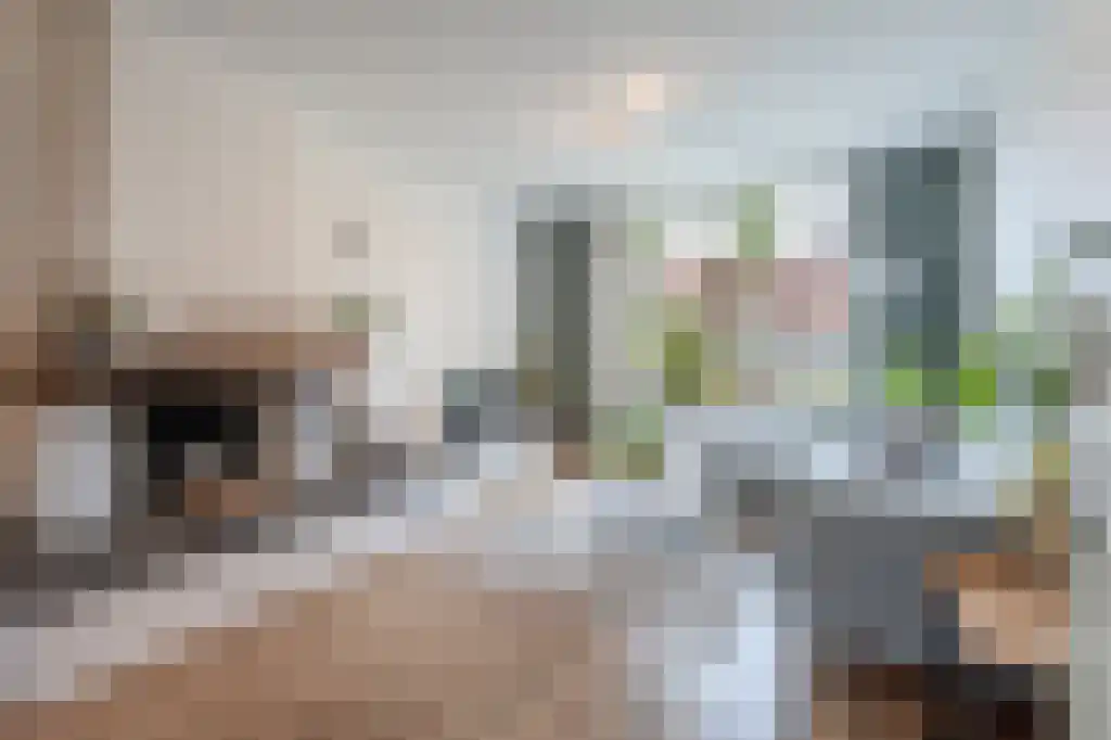 Hooghout 5 Breda thumbnail 4