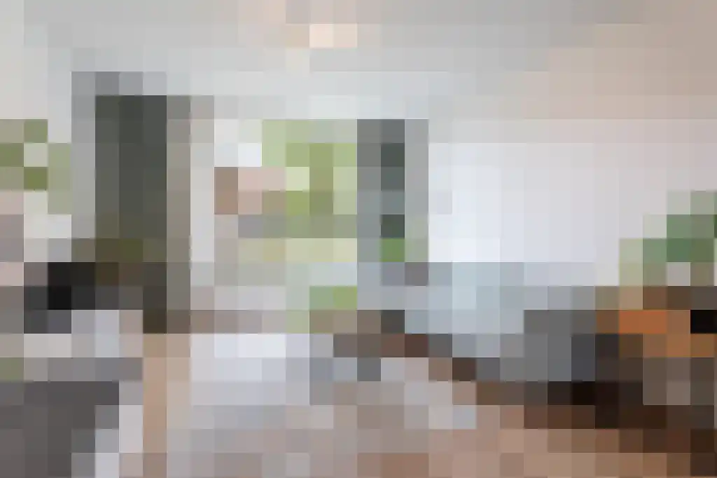 Hooghout 5 Breda thumbnail 5