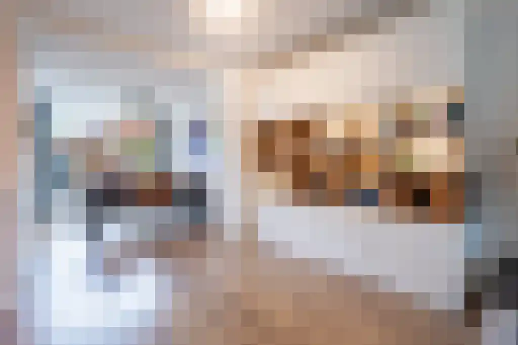 Hooghout 5 Breda thumbnail 6