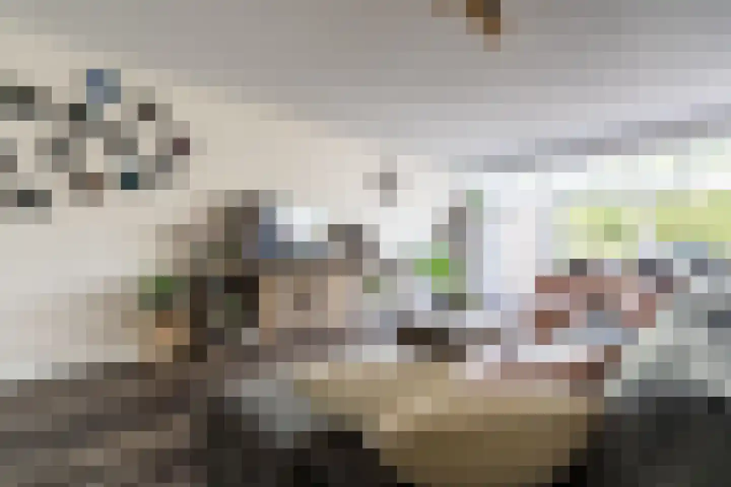 Hooghuijs 2 Nederweert thumbnail 10