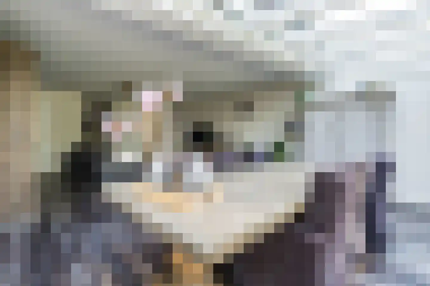 Hooghuijs 2 Nederweert thumbnail 11