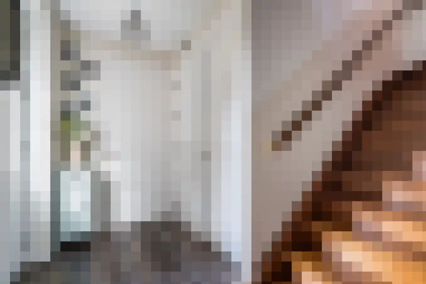 Hooghuijs 2 Nederweert thumbnail 15