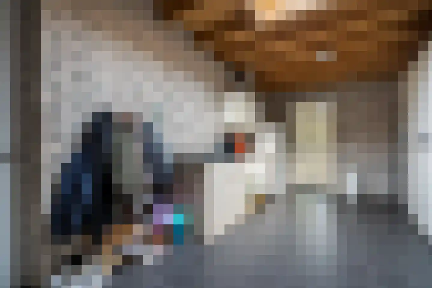 Hooghuijs 2 Nederweert thumbnail 19