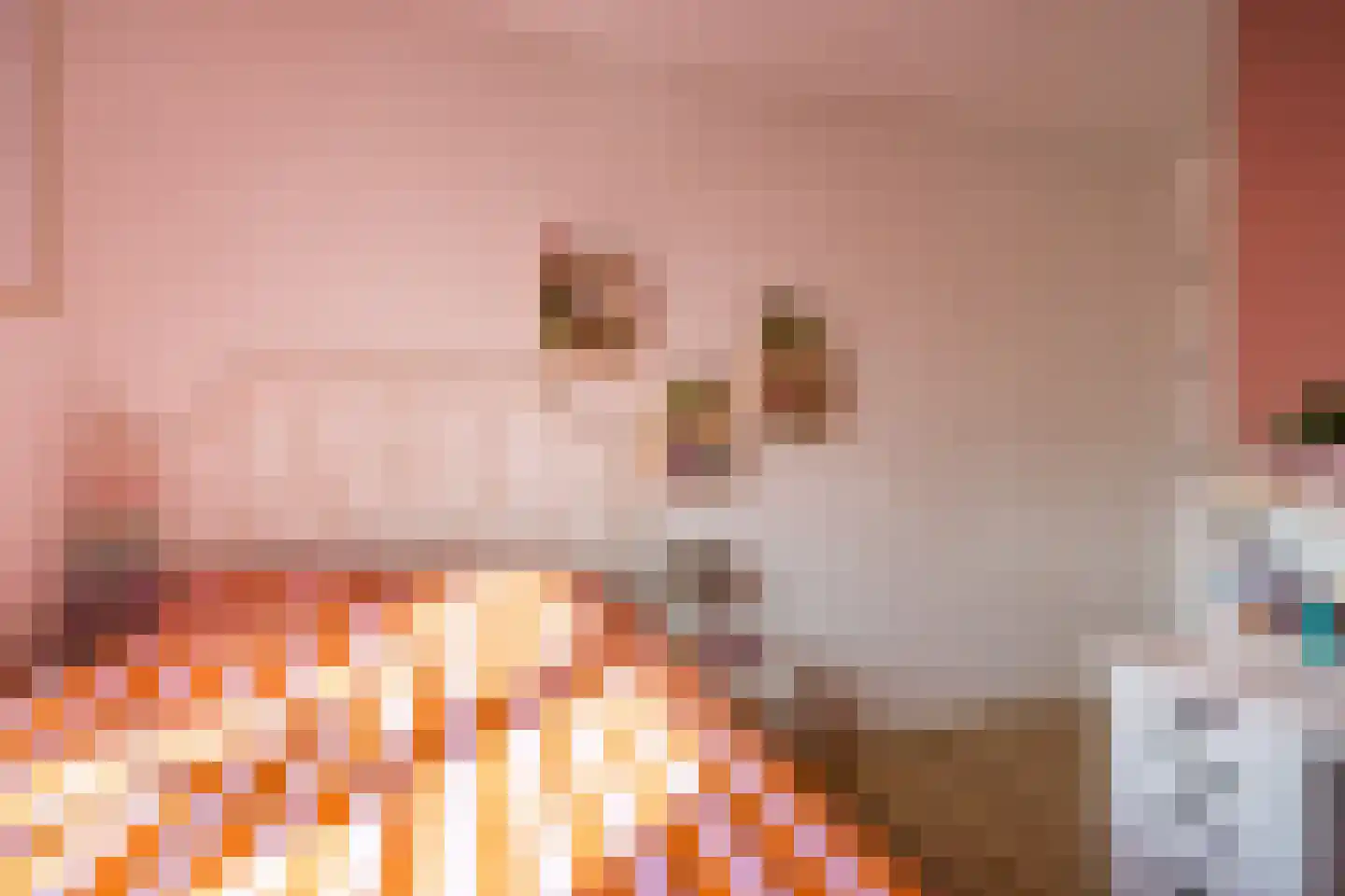 Hooghuijs 2 Nederweert thumbnail 22