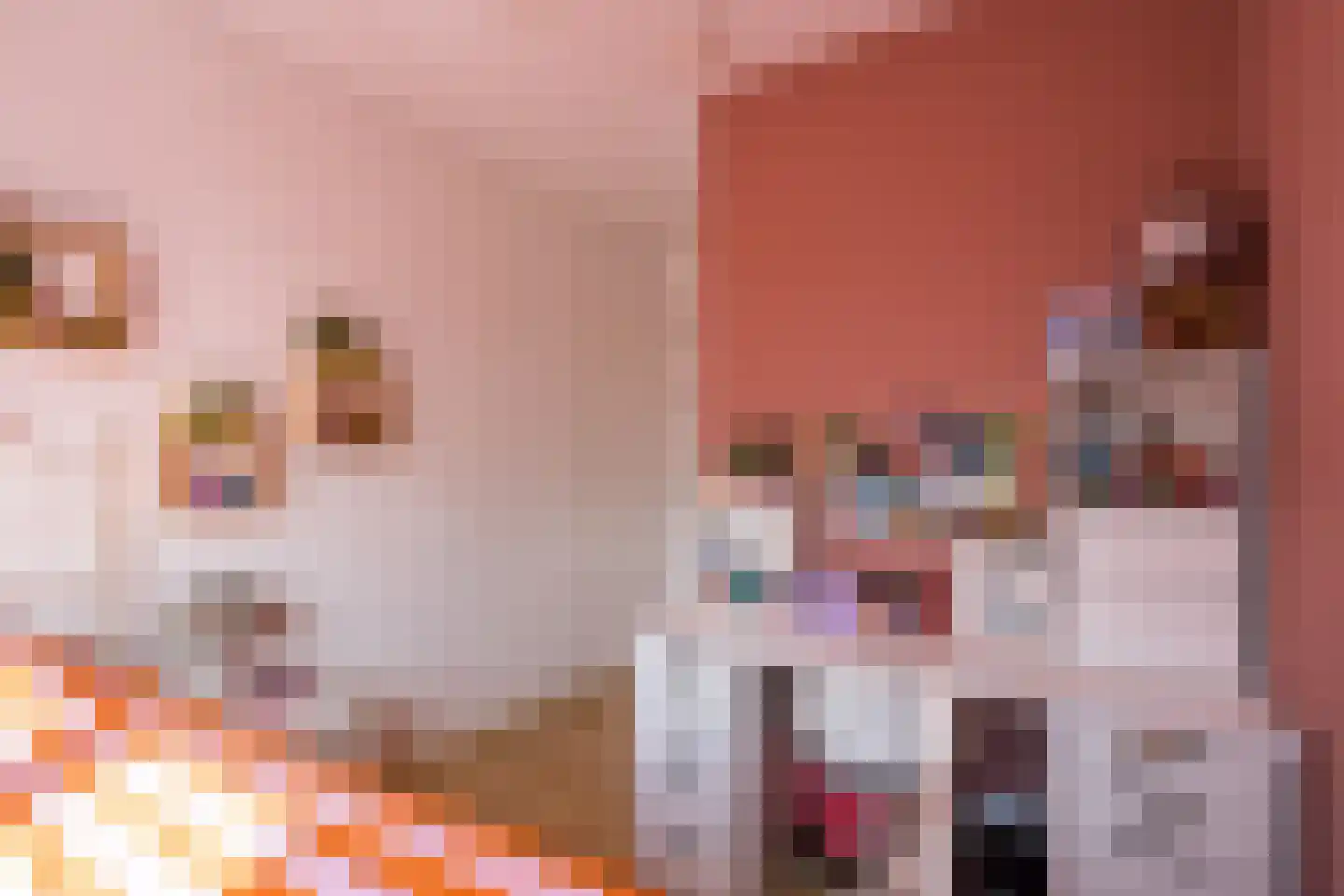 Hooghuijs 2 Nederweert thumbnail 23
