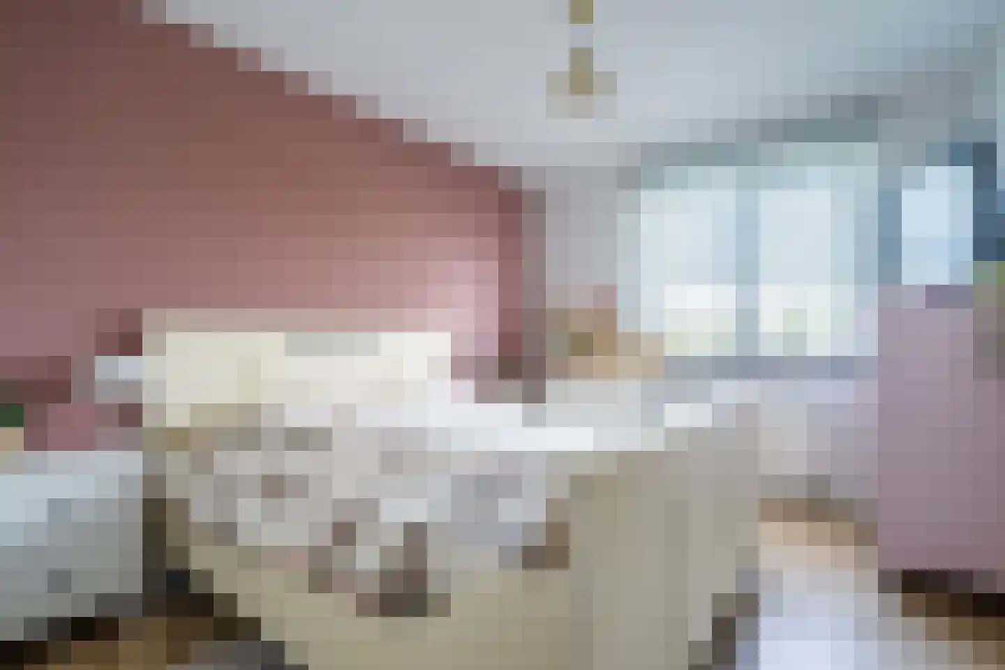 Hooghuijs 2 Nederweert thumbnail 24